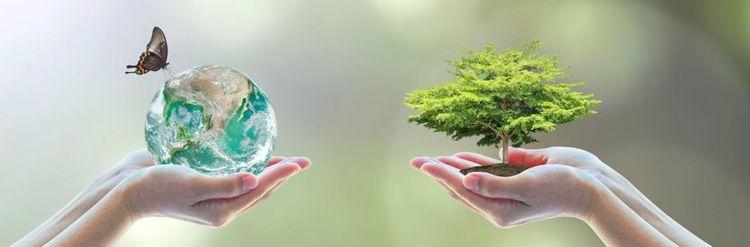 Corporate Social Responsibility