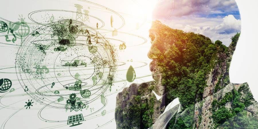 environmental sustainability